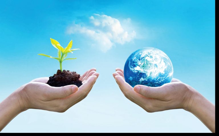 Millennium To Sustainable Public Good Vs Private Welfare