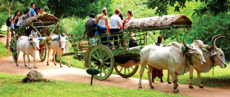 Accelerating Rural Development Through Entrepreneurship