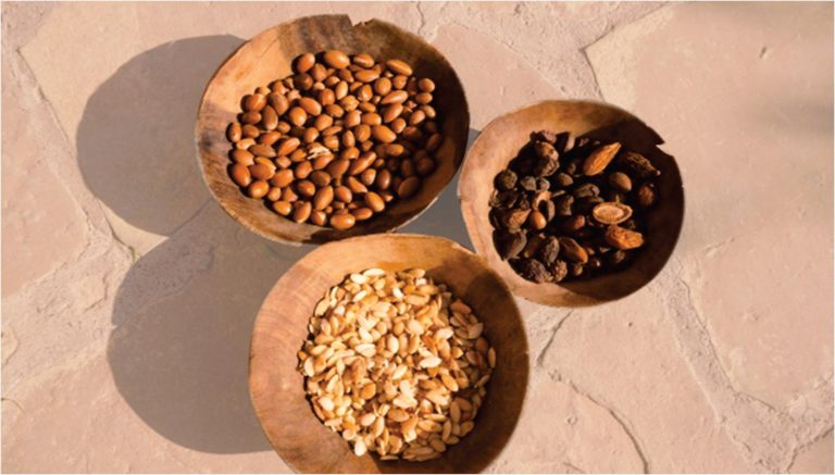 Transforming Rural And Marginalised Communities The Body Shop’s Efforts At Combining Environmental Sustainability And Business Ethics