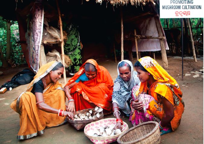BIPF: Investing for an Inclusive Future