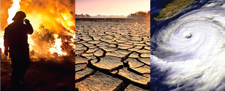 How Climate Change Drives Business Strategy